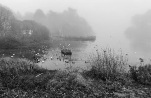Eerie mist descending on Scottish waters